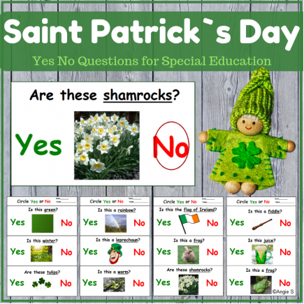 Saint Patrick`s Day Yes/No Questions 